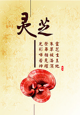 灵芝