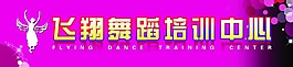 舞蹈培训