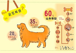 宠物美容
