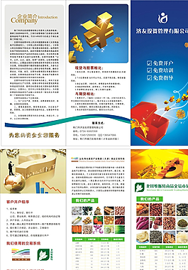 投资公司折页图片