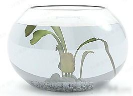 玻璃鱼缸3d模型