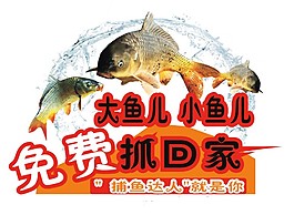 抓鱼