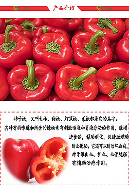 蔬菜柿子椒淘宝设计