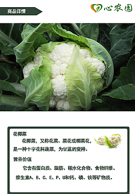 蔬菜花菜淘宝设计