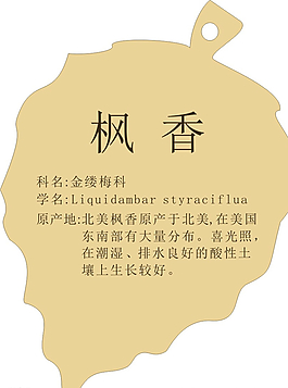 树木铭牌图片