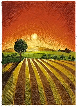夕阳农场