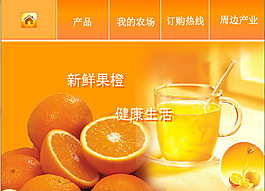柳橙水果导航flash