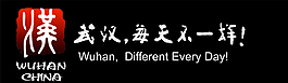 武汉每天不一样LOGO图片