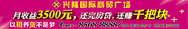 国际商贸月收益