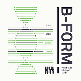 螺旋 B-FORM