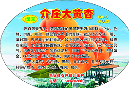 介庄大黄杏图片