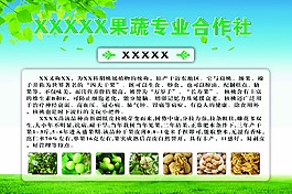 农业合作社产品介绍-核桃