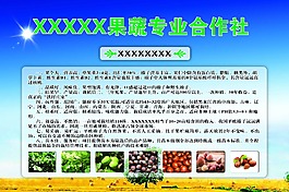 农业合作社产品-榛子