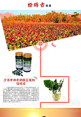 恰玛古详情