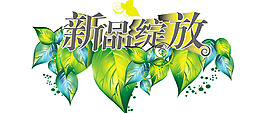 新品上架素材