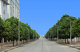 路灯工程图片