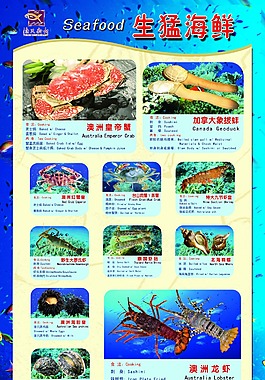 生猛海鲜
