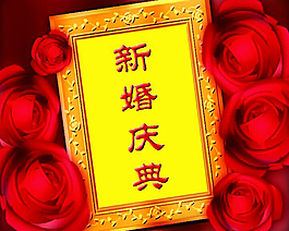 婚礼庆典视频素材