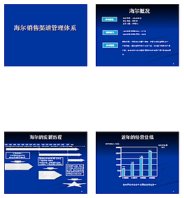 海尔销售渠道案例分析PPT