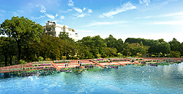 湿地公园图片