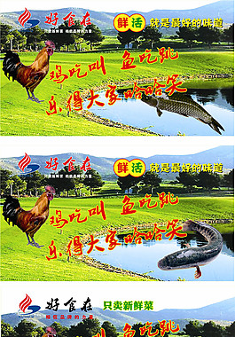 火锅店活鸡活鱼灯片