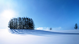 唯美雪景