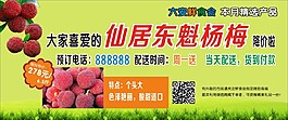 杨梅海报