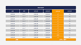 重点项目强调PPT表格模板