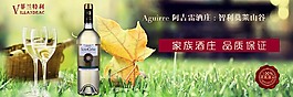 干白葡萄酒网页Banner