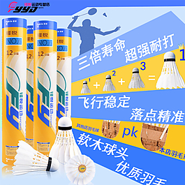 羽毛球图片