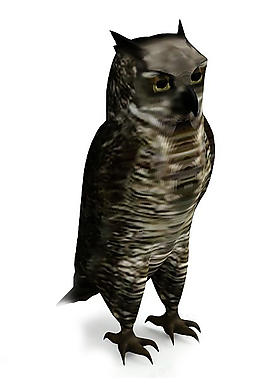 3DMAX猫头鹰