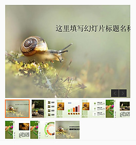 可爱勤劳的蜗牛自然主题PPT模板