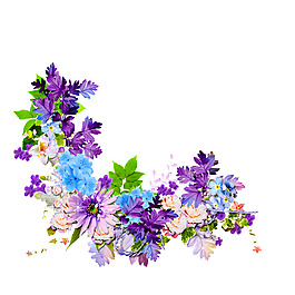 唯美花朵边框