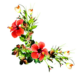 花朵边框