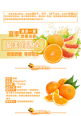 澳洲脐橙详情页