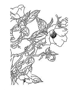 麦彭仁波切 酥油花图片花卉油画图片名片图片油 油花 油素材 背景紫色