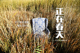 简洁文艺冬日沙发海报