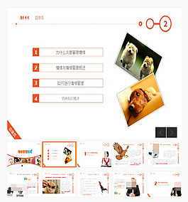 情绪管理指南培训课件PPT模板