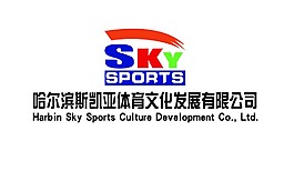 SKY标志 体育公司