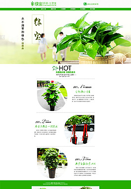 绿植网页