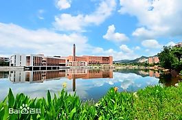 风景
