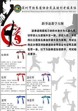跆拳道级位表