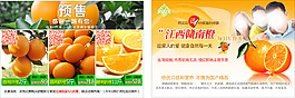 脐橙