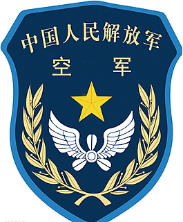 中国空军臂章图片大全图片