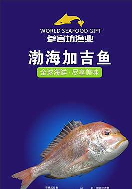 渤海加吉鱼图片