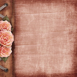 玫瑰花复古背景