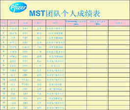 惠氏奶粉 MST团队个人成绩表