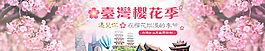 台湾樱花季图片