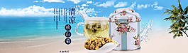 杭白菊海报图片