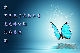 逆光的飞翔